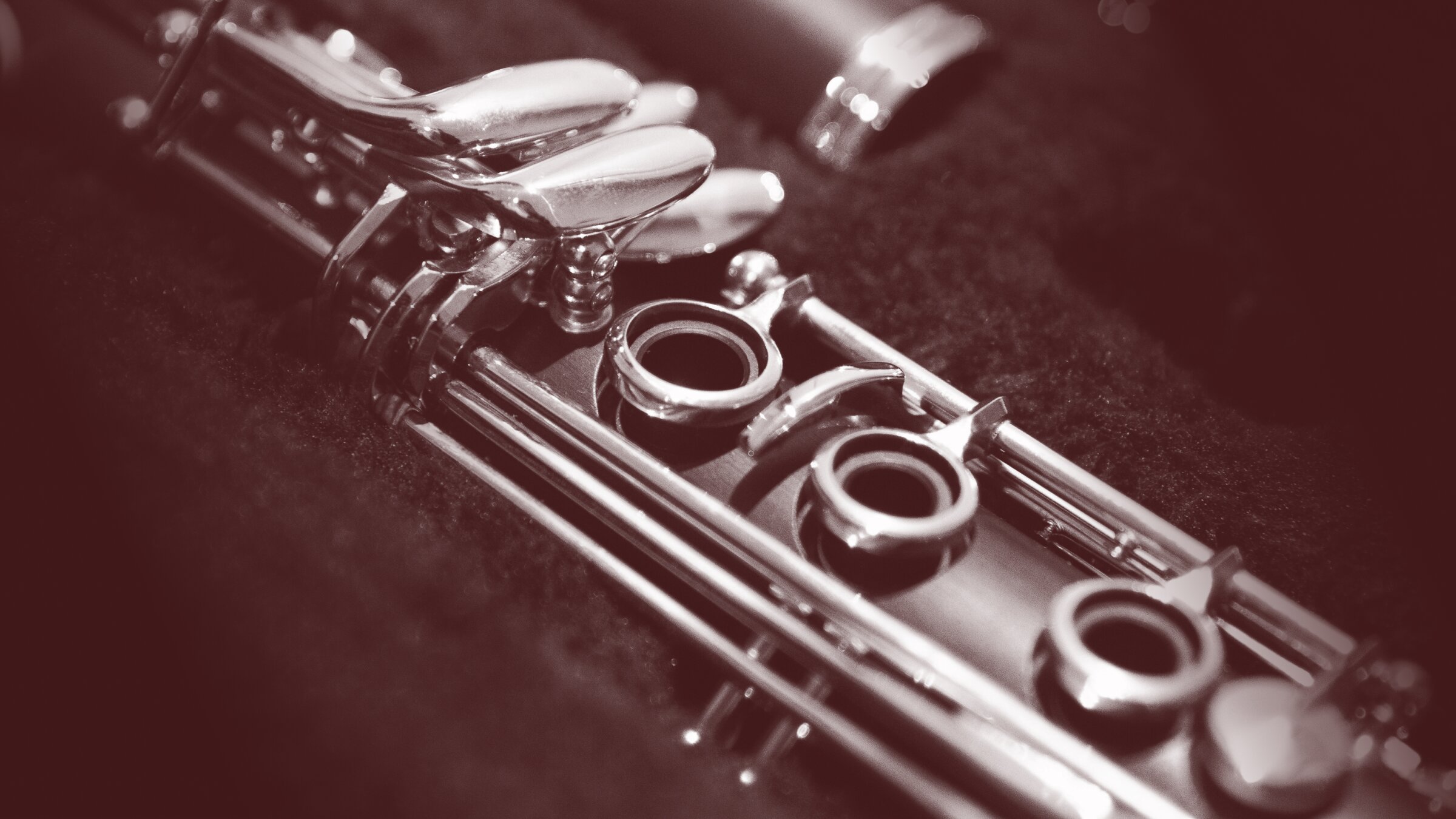 Orchestral Tools - Berlin Woodwinds Soloists Bundle - Sample Library Bundle