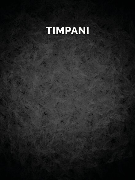 Orchestral tools timpani on sale
