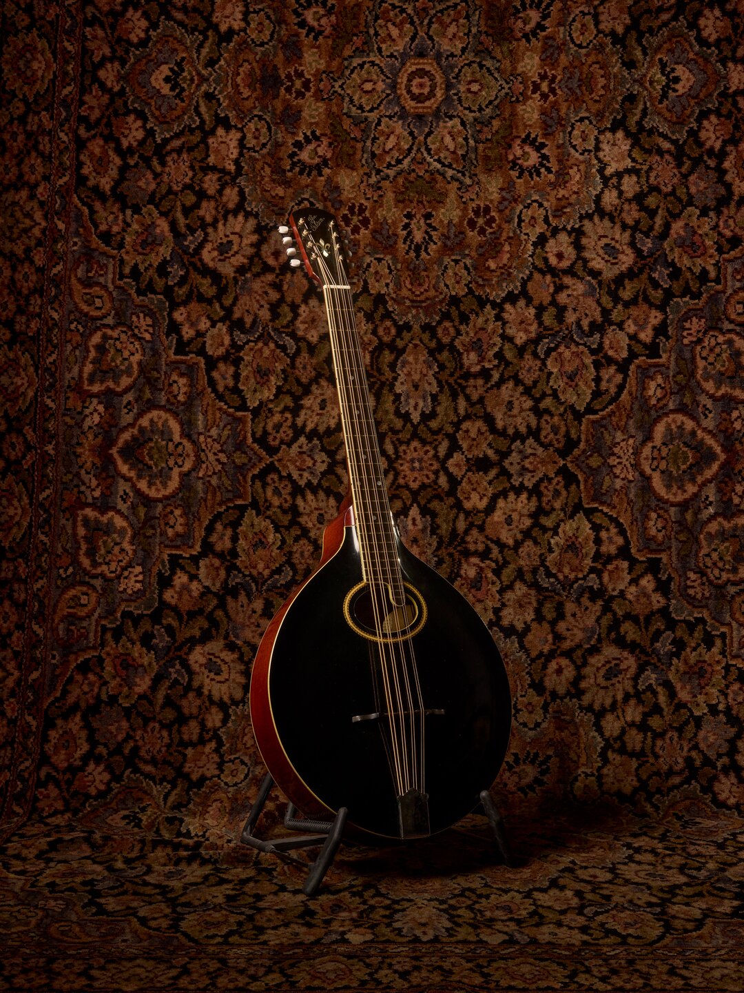 A black mandocello