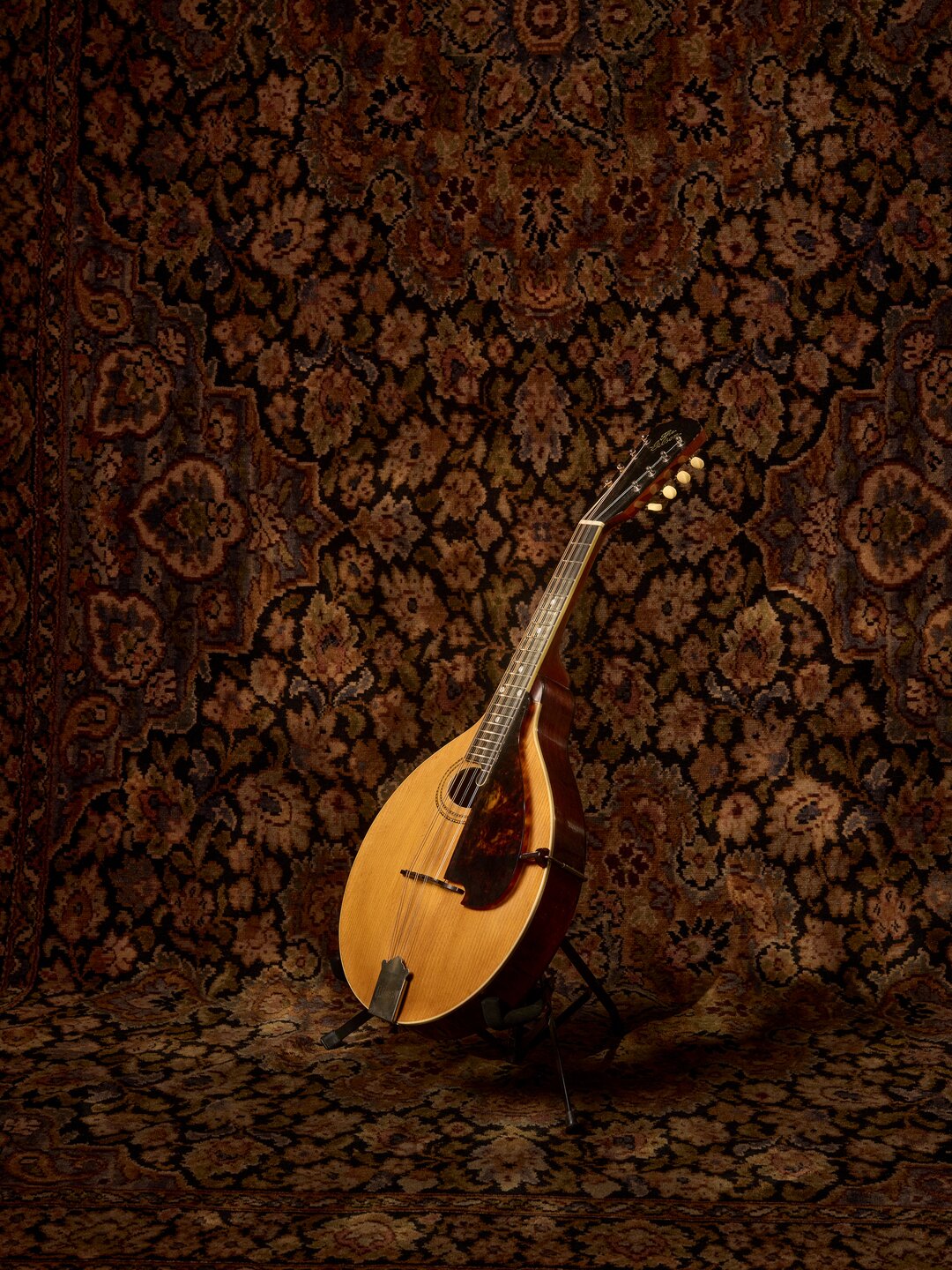 An alto mandola