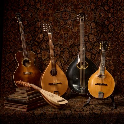 A group of stringed instruments and old leatherbound books