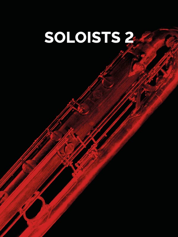 Stylized close-up of a woodwind instrument