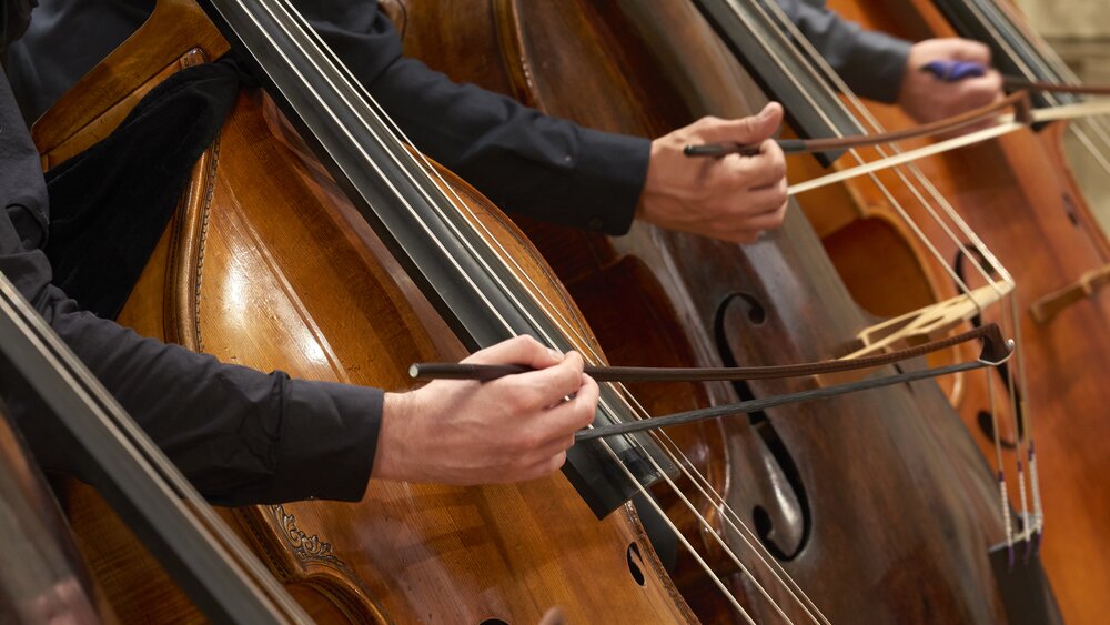 A row of musicians playing basses