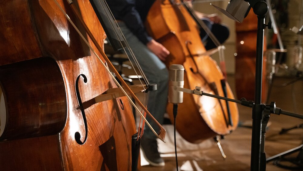 Recording basses in great detail