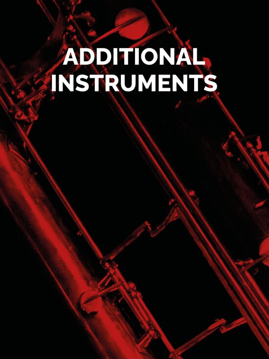 Close-up of a woodwind instrument