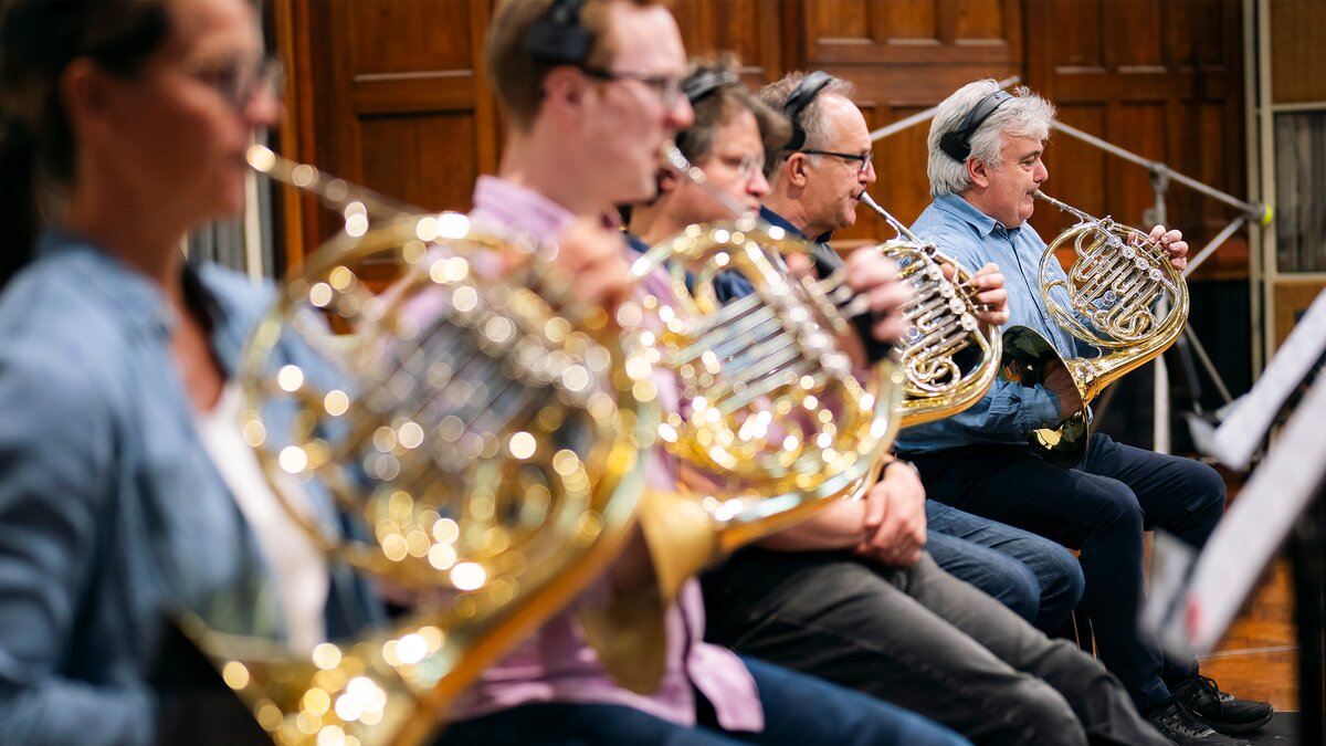 A row of French horn players