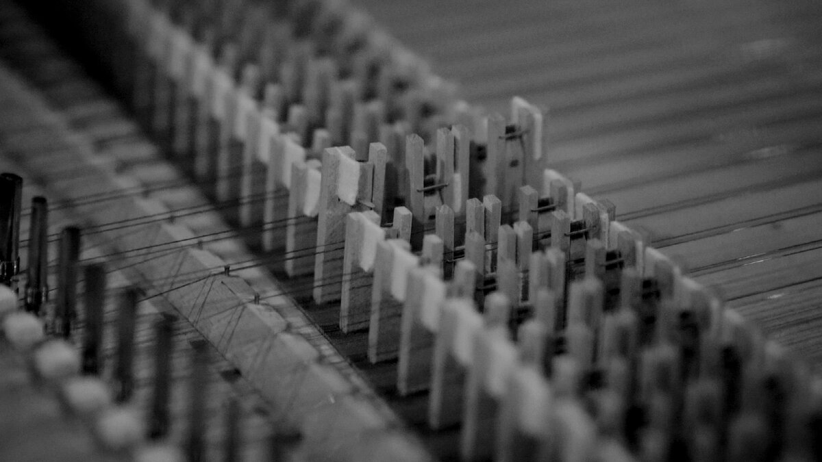 The interior of a harpsichord