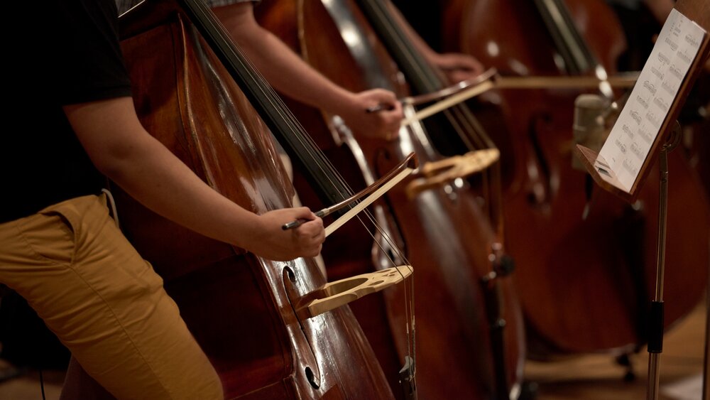 Close-up of several basses being played