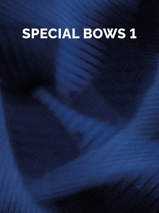 Berlin Strings Special Bows 1 sample library