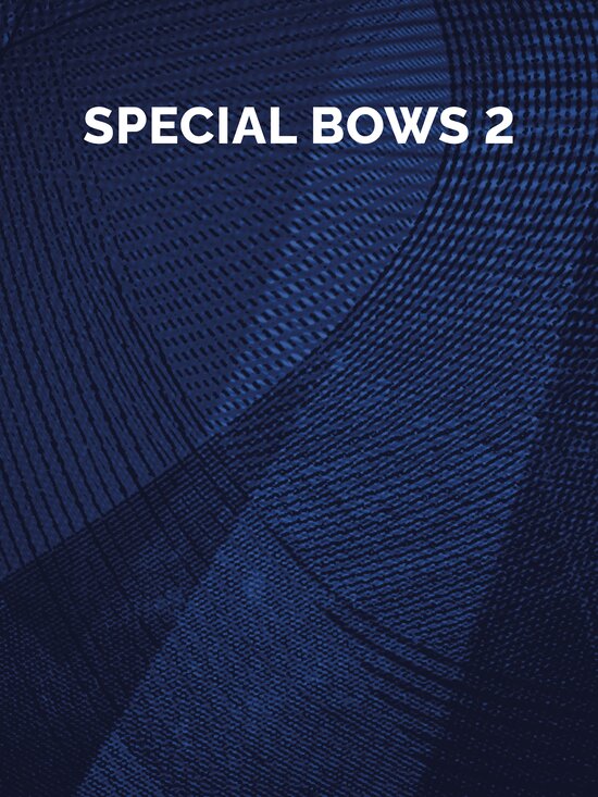 Berlin Strings Special Bows 2 sample library
