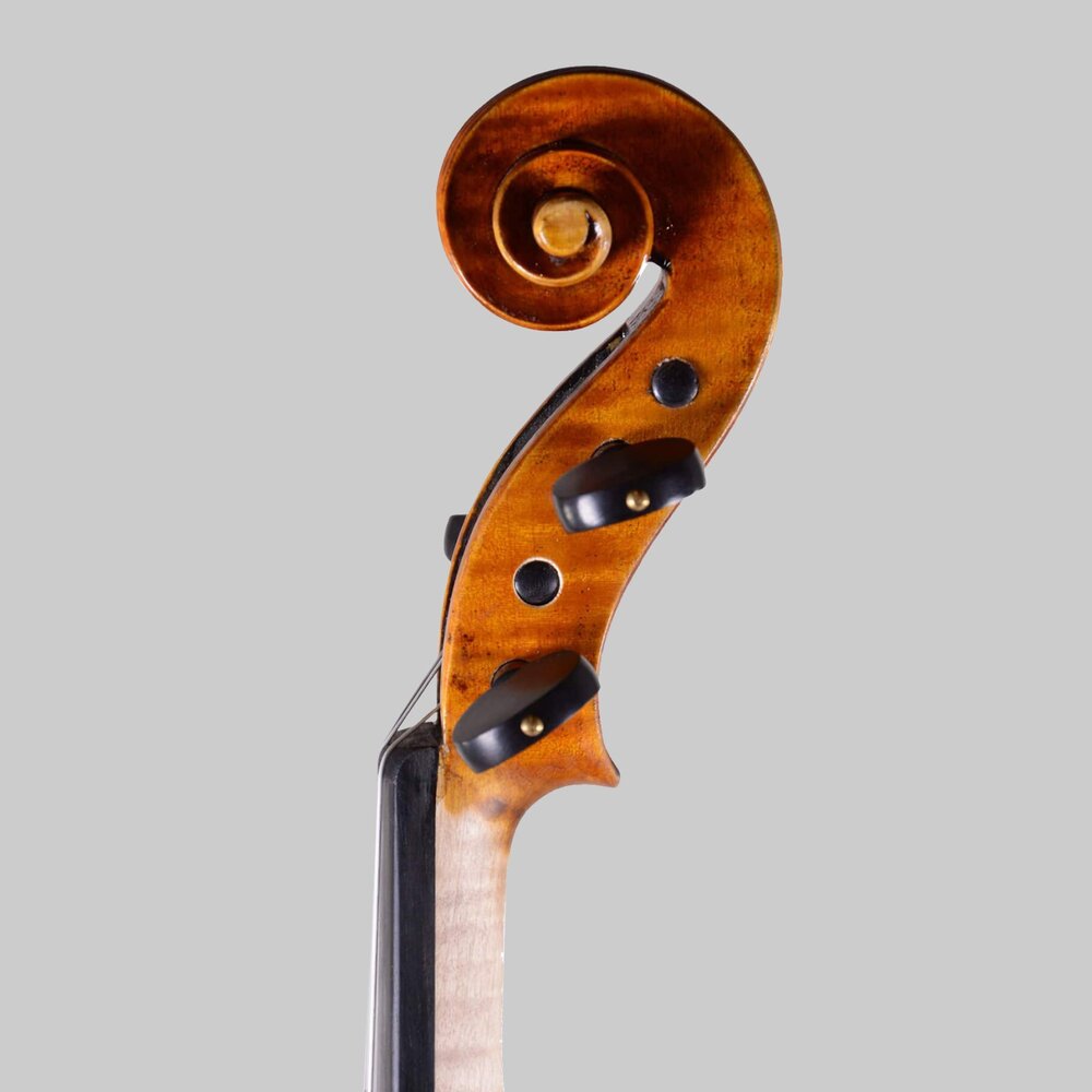 Scroll and peg box of a stringed instrument