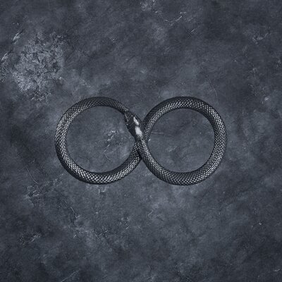 An infinity ouroboros with a marble-like background