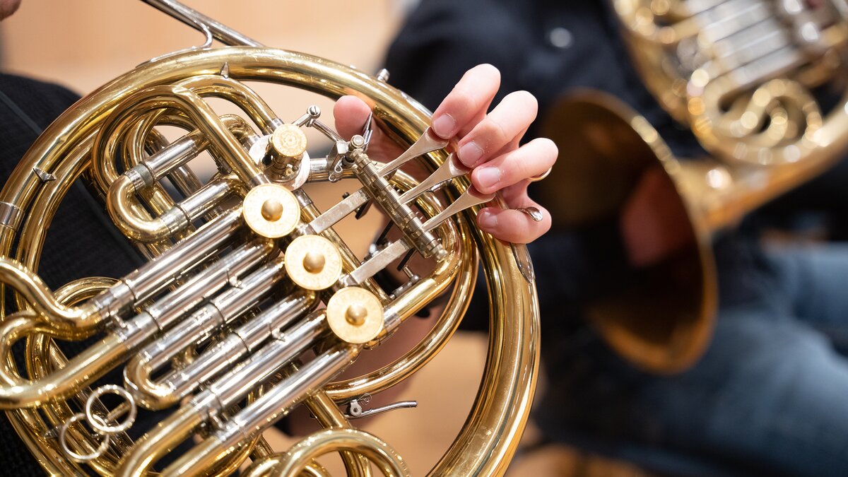 French horns. Photo by Larissa Matheus.