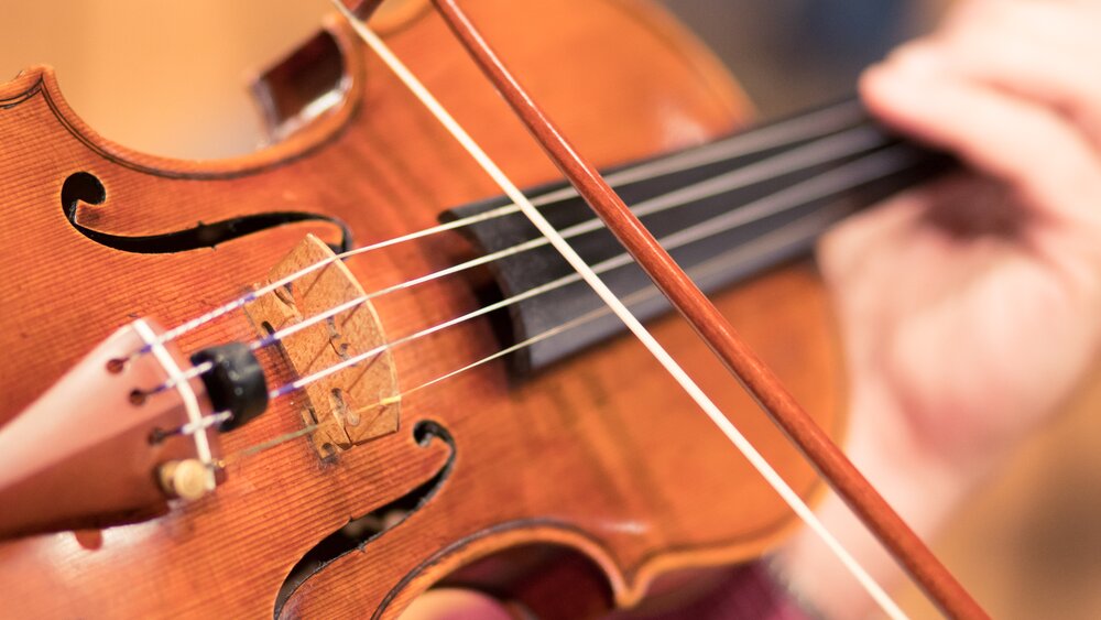 Close-up of a violin. Photo by Robin Lambrecht.