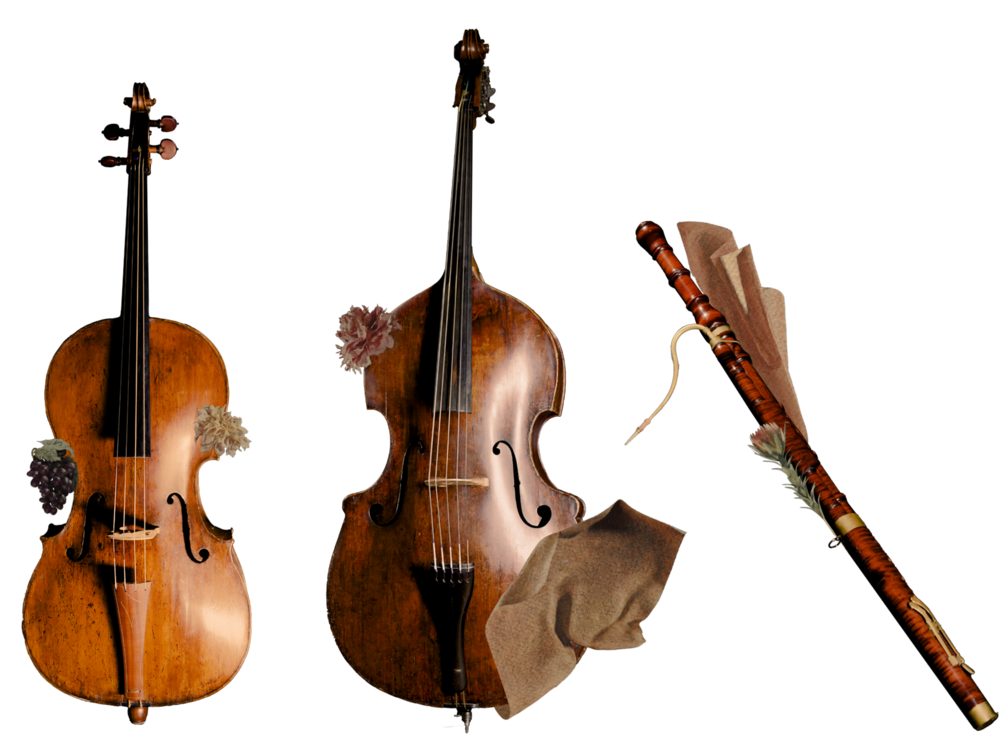 Basso continuo instruments