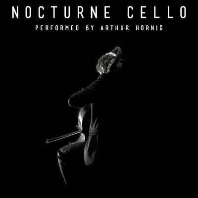 Chiaroscuro cello player