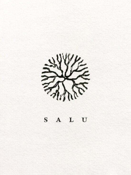 Salu cover art