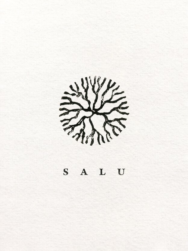 Salu cover art