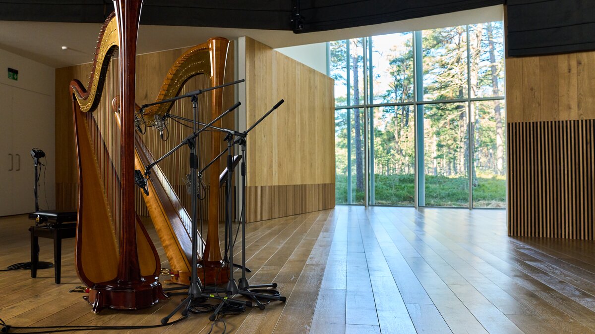 Two harps in the Arvo Pärt Centre in Estonia. Photo by Kaupo Kikkas.