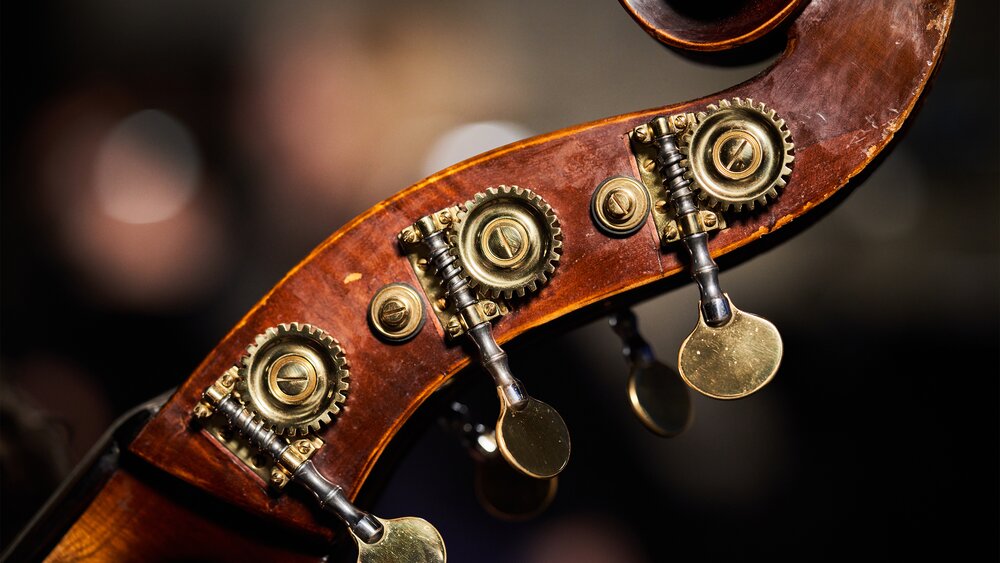 Tuning pegs of a strings instrument. Photo by Kaupo Kikkas.