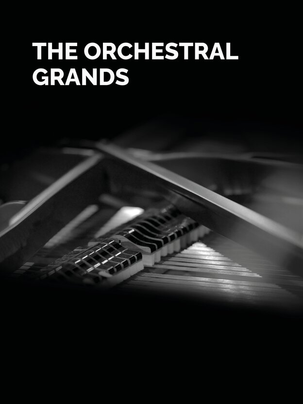 Inside a grand piano